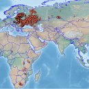 지금,돼지 이미지