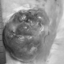 링크늘푸른동물병원 이미지