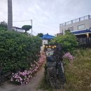 루디아바다 이미지