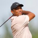 TL골프스튜디오 이미지