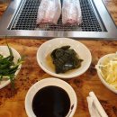 영 모 당 이미지