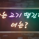 고기검객 이미지