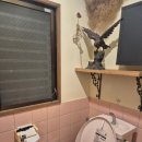 뽀빠이하우스 이미지