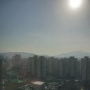 꽃길공인중개사사무소 네이버블로그