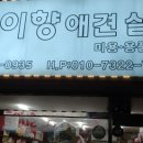 친절한애견미용실 이미지