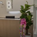 둥구나무한의원 이미지