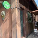 인형천국 투 | 아기랑 푸꾸옥 빈펄사파리 VIP투어 현장구매 가격 오픈런 비교 후기