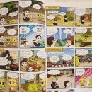 신비아파트 교과서+위인 100 3권
