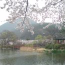 영산면사무소 이미지