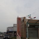 구기자 약초시장 이미지