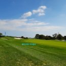 핀크스CC | “한 번 가면 못 잊는다⛳” 제주 핀크스CC 여름 라운드 리얼 후기