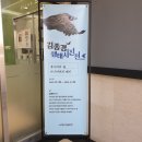 노작홍사용문학관 | [동탄] 노작 홍사용 문학관 전시장 김종경 작가 생태 사진전 후기