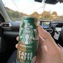 아싸골프 | 가고시마 공항 36cc | 일본 골프 라운딩 후기 20251223