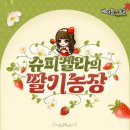 딸기스킨