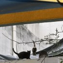 혜성슈퍼 이미지