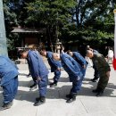 신사초등 이미지