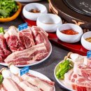 양산갈매기