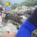 한그루민박 이미지