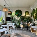 (주)아이홀릭 | 대전 이색 실내 데이트 식물카페 가든홀릭 아이랑 화분드로잉 체험 테라리움 비바리움