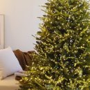 온더플라워 이미지