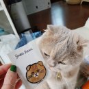 산꼬 | 제8회 궁디팡팡 캣페스타에 다녀왔어요~-[궁팡후기]