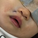 오체안성형외과의원 이미지