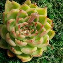 햇살 좋은날 이미지