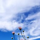 물음표 - 중구 장충단로 280 | 물음표