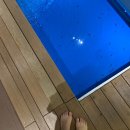 피쉬 게임랜드 이미지