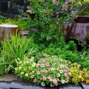 추억의 아이들 표정 이미지