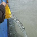 신안낚시터 이미지