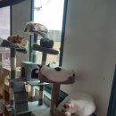 주식회사 캔 이미지