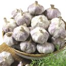 정동영농조합법인 이미지