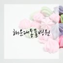 행복튼튼동물병원 네이버블로그