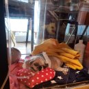 유니온동물병원 이미지