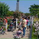 조선대(장미원) 이미지