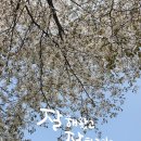플러스펜 수채화 캘리그라피 이미지