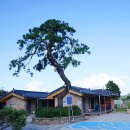 원효계곡 펜션 이미지