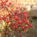 김삿갓로 이미지