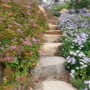 토함빌리지 이미지