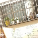 프렌즈 뽑기 | 10월 부산여행 후기☆