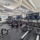 피트니스 위 이미지