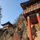 콘텐츠연구소섬진강 | 구례여행- 산수유마을, 화엄사, 화엄매, 들매, 사성암
