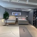 동수원 | 금성침대세일 동수원매장 방문후기 추천해요 !!