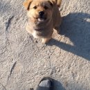 서영농장 이미지