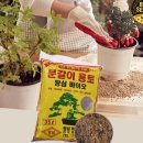 흙 - 보령시 | 흙