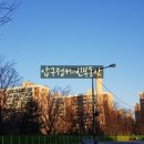 압구정-110 이미지