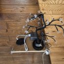 동네부엌 | 대구 동구 한우 부엌소소 갈비찜후기 /우거지 뜸뿍 국내산 한우 맛집