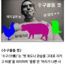 그때 그시절과 현재의 교훈, 어느 수구꼴통의 고별사 이미지