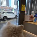 서울주유소 | 신대방동 주유소 카페 후기 | 새서울글로벌점 커피